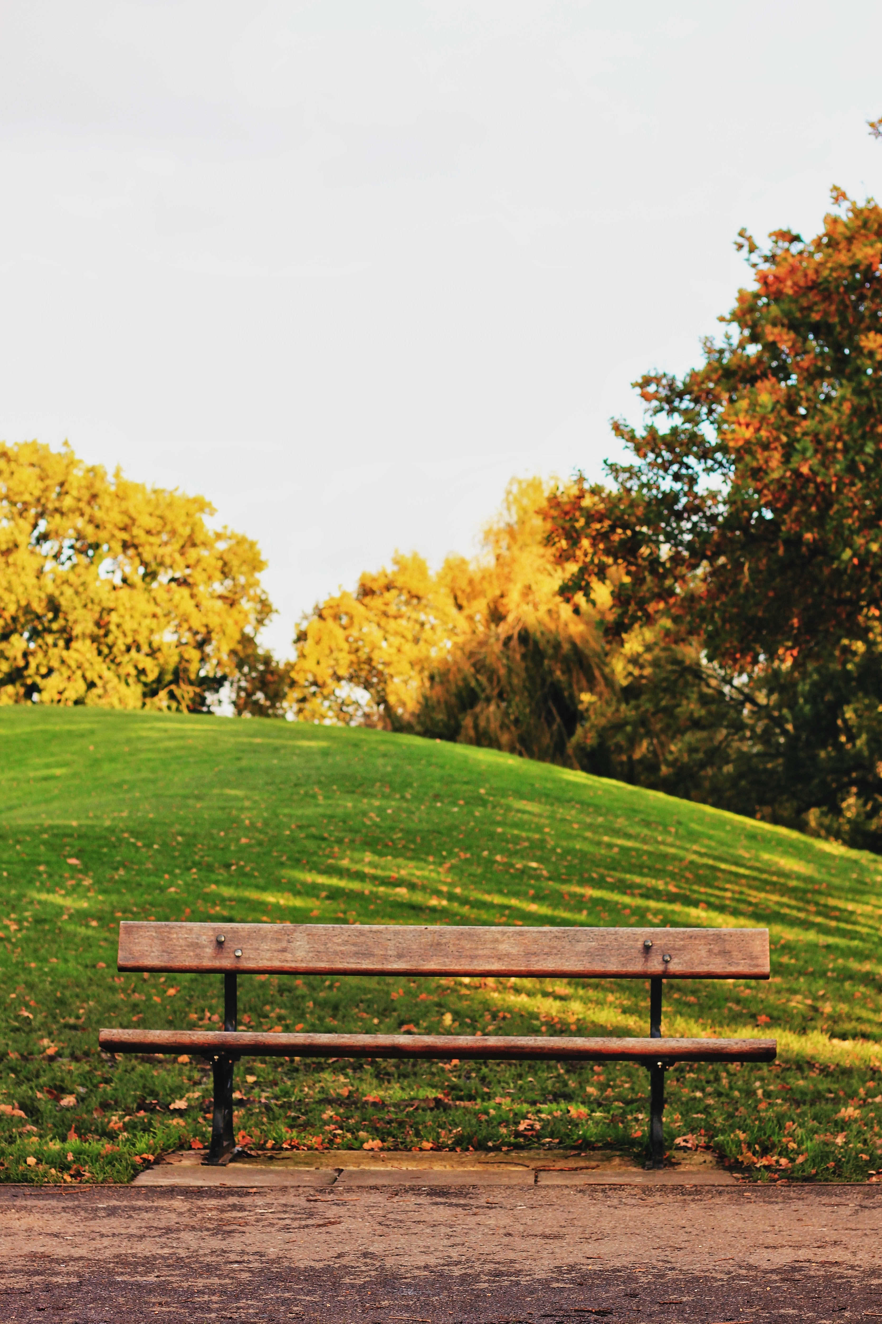 Bench in a Park