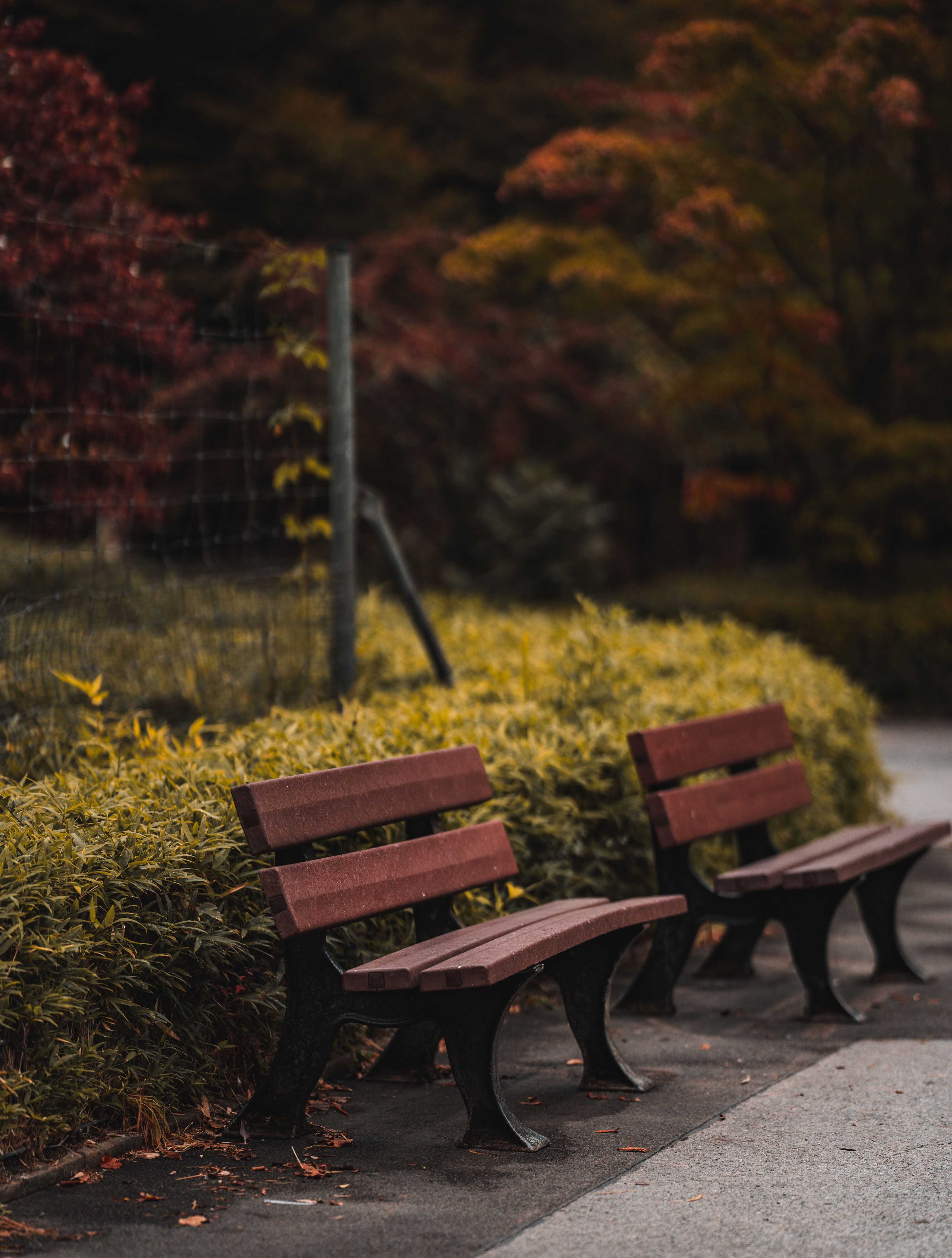 Bench in a Park