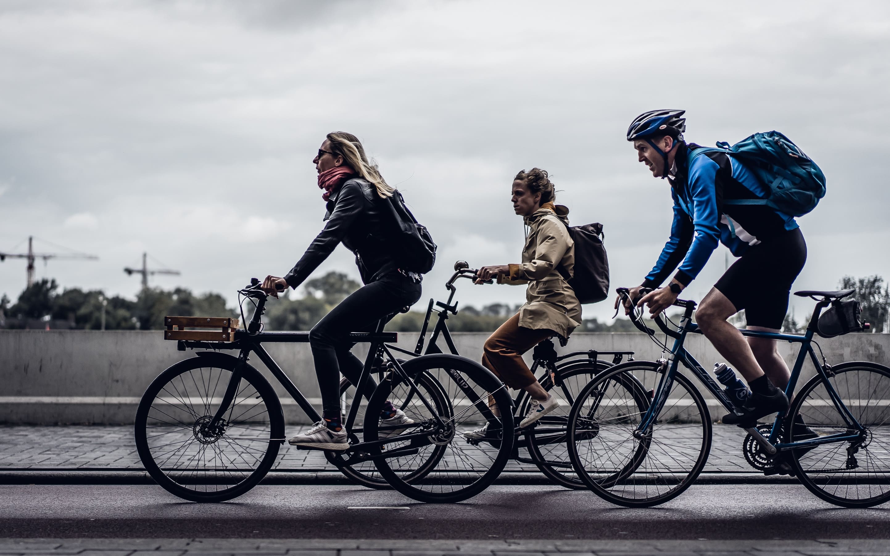 Bicyclists on a City Street