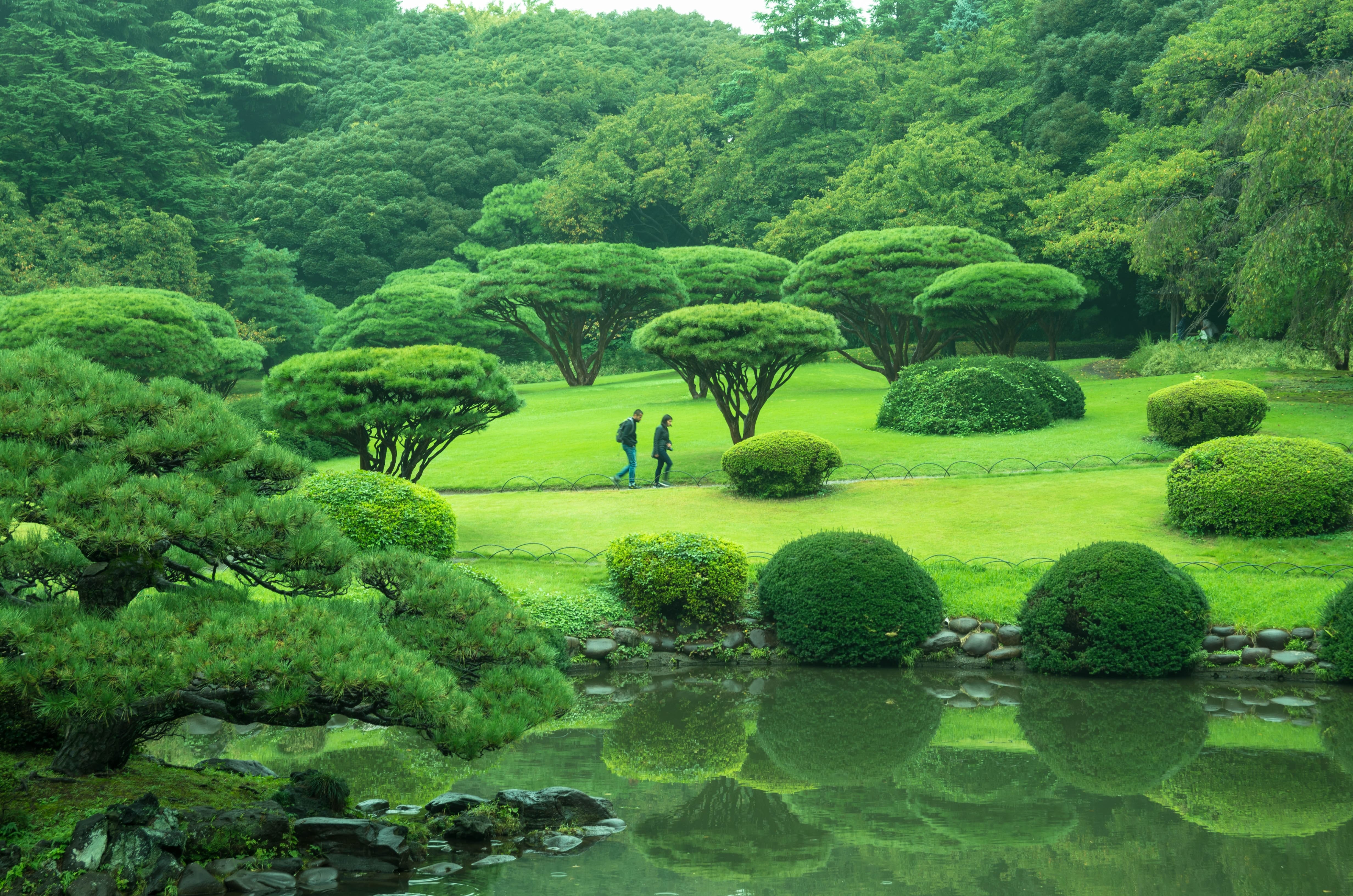 A Green Park with a Lake