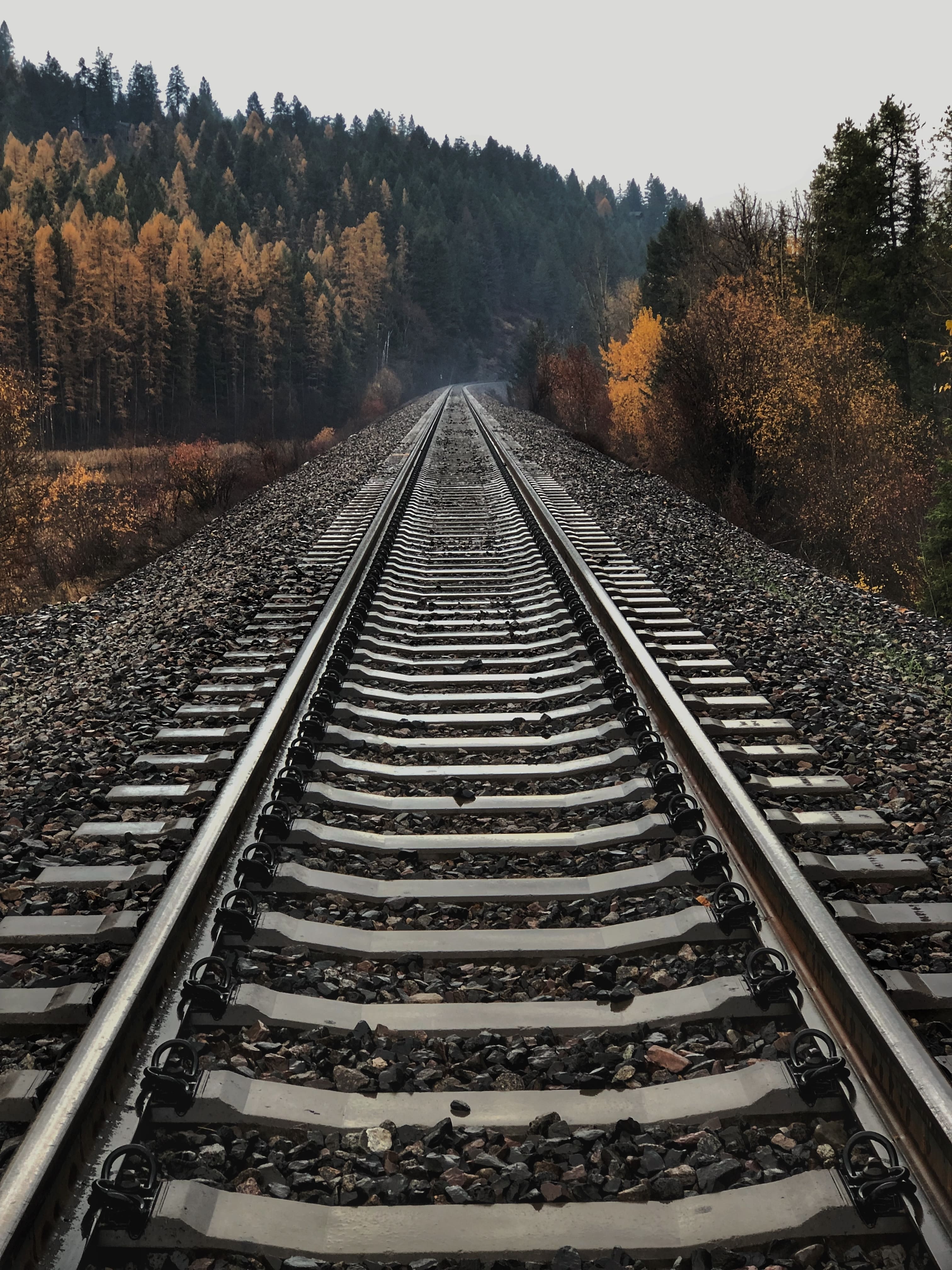 Railway Tracks in the Wilderness