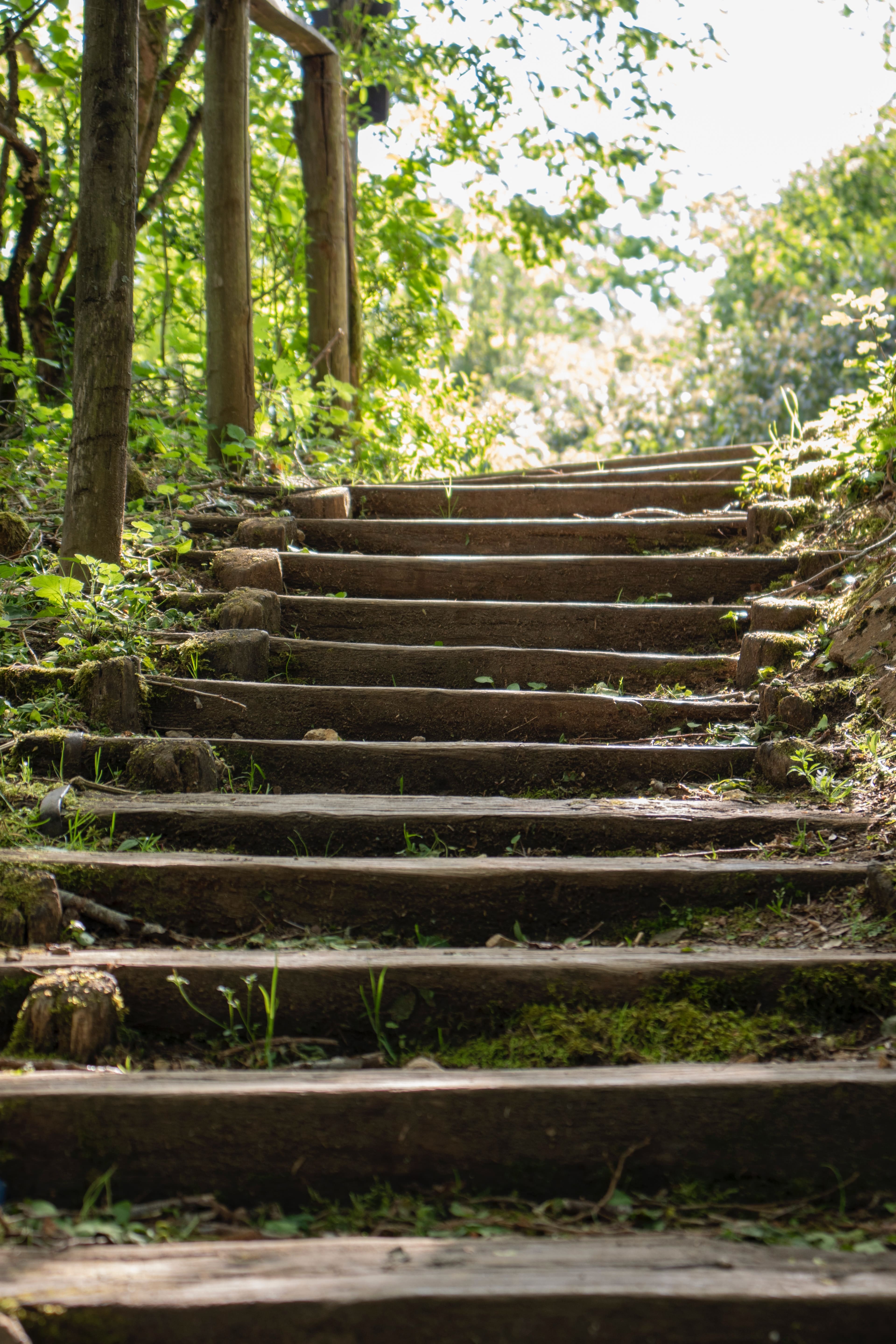 Stone Staircase in a Park