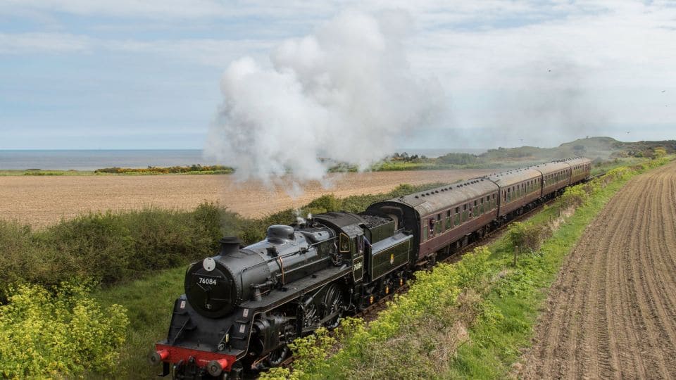 A Steam Train in a Field